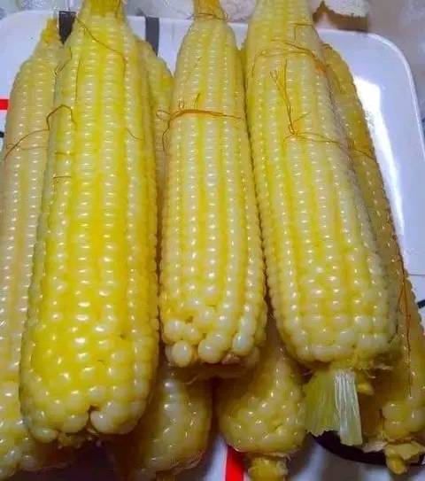 FB_IMG_17158082136926328.jpg