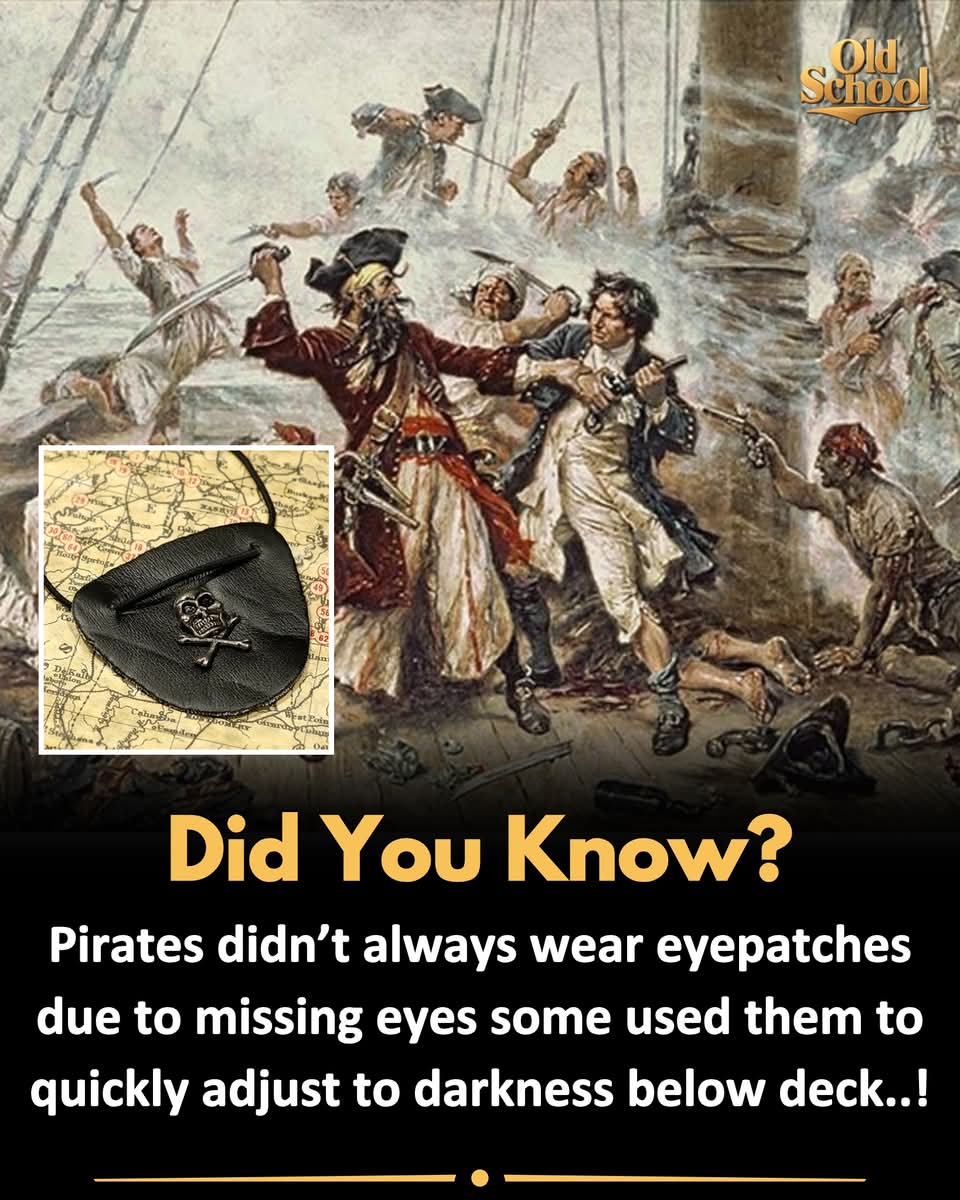 FB_IMG_1741318726117.jpg