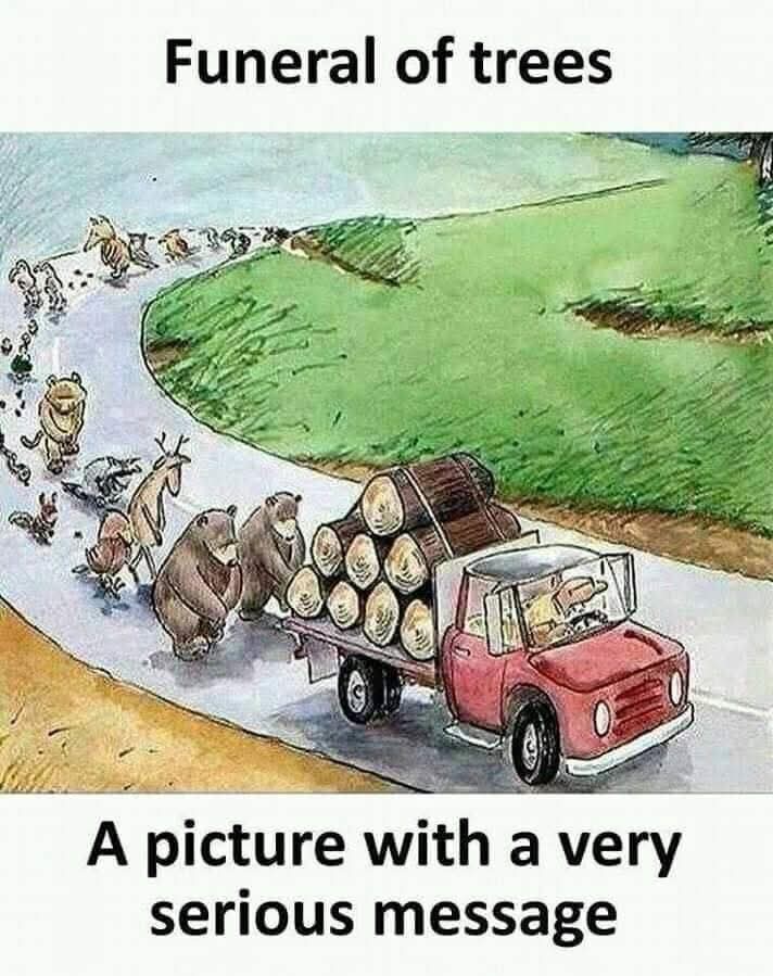 FB_IMG_1746031873421.jpg
