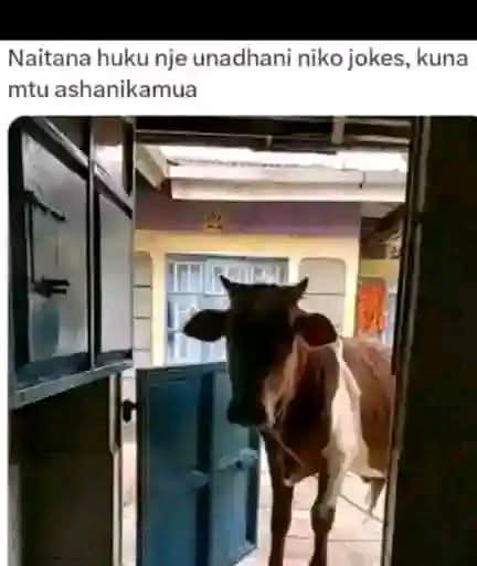 FB_IMG_1789544031488.jpg