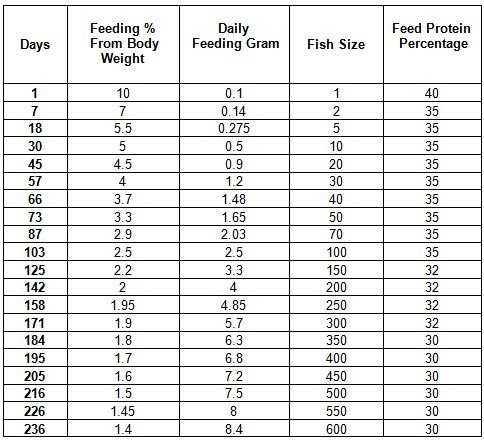 Feeding%2520Table%5B1%5D.jpg