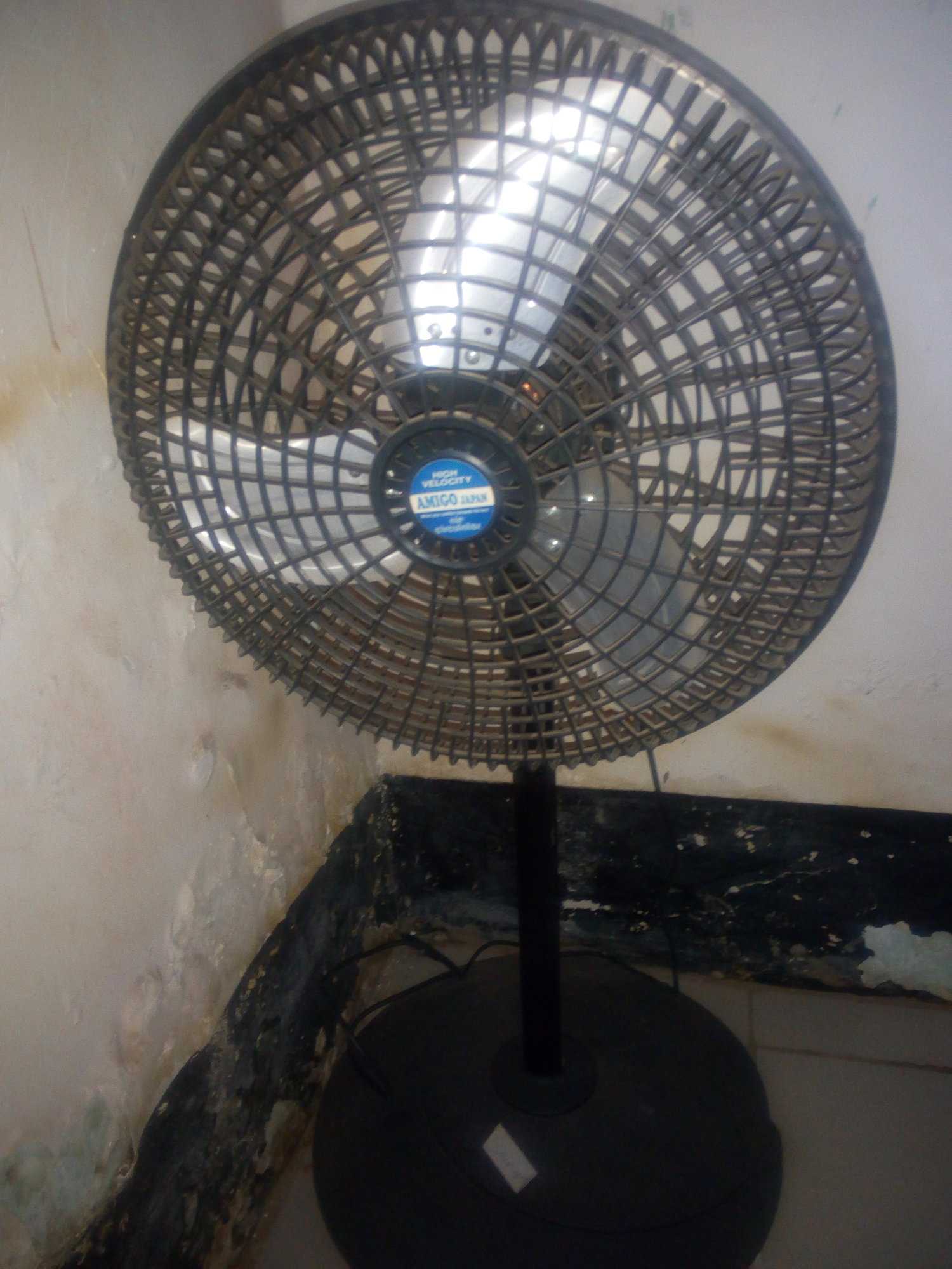 feni.jpg