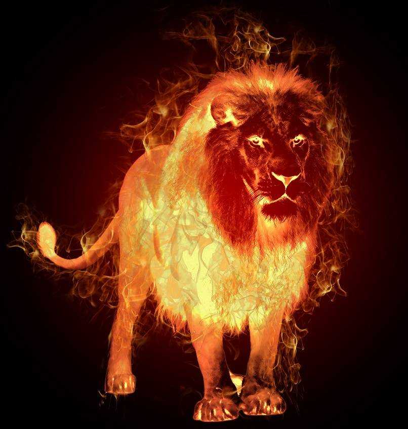 FIERY-LION-OF-JUDAH.jpg