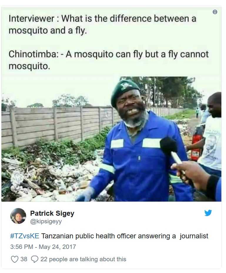 fly.JPG