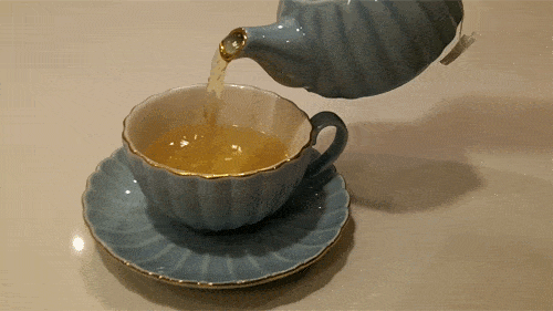 giphy (1).gif