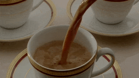 giphy (1).gif