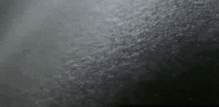 giphy 34.GIF