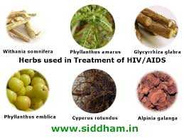 HERBS USE TO TREATMENT HIV-AIDS.jpg