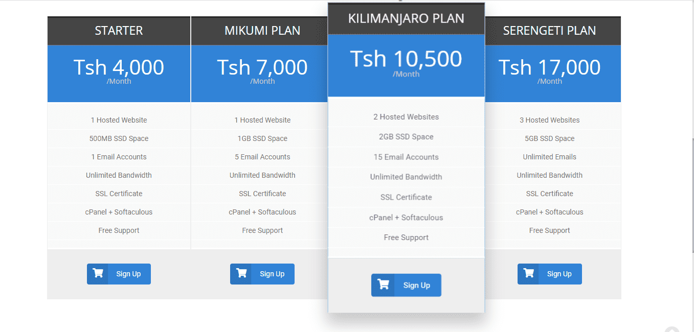 Hosting Package.PNG