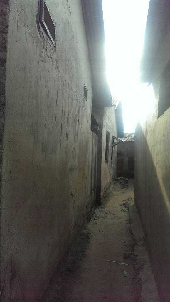 IMAG0016.jpg