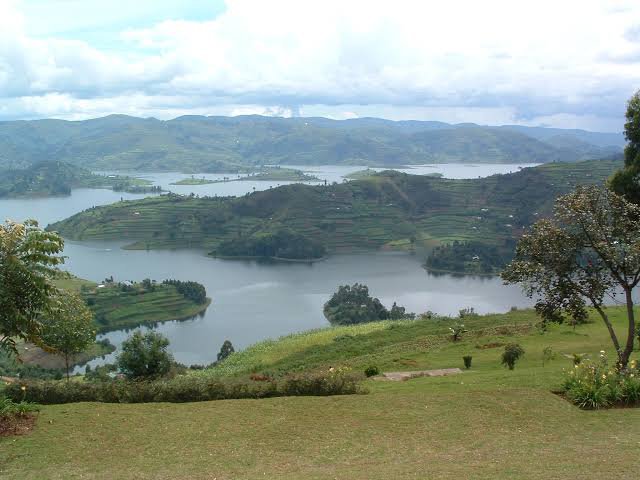 images%20(21).jpeg