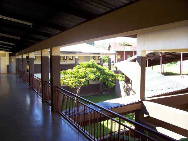images%20(3).jpeg