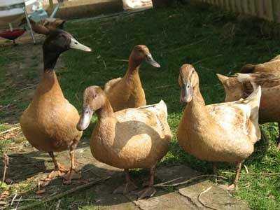 images%20(42).jpeg