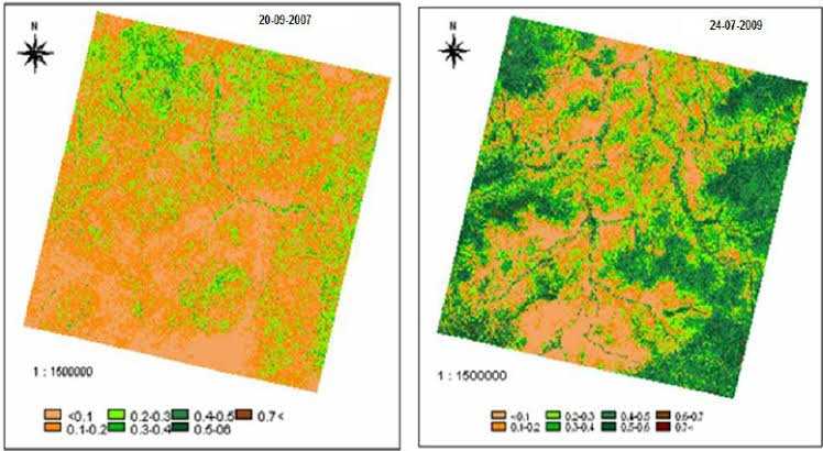 images%20(6).jpg