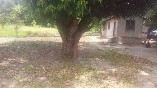 ImageUploadedByJamiiForums1459328555.719909.jpg