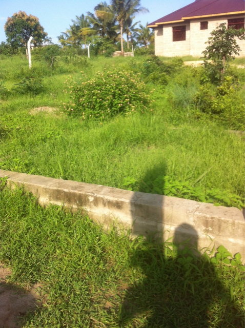 ImageUploadedByJamiiForums1467206530.706648.jpg