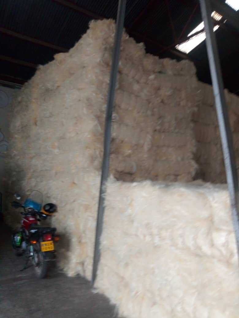 IMG-20181029-WA0001.jpeg