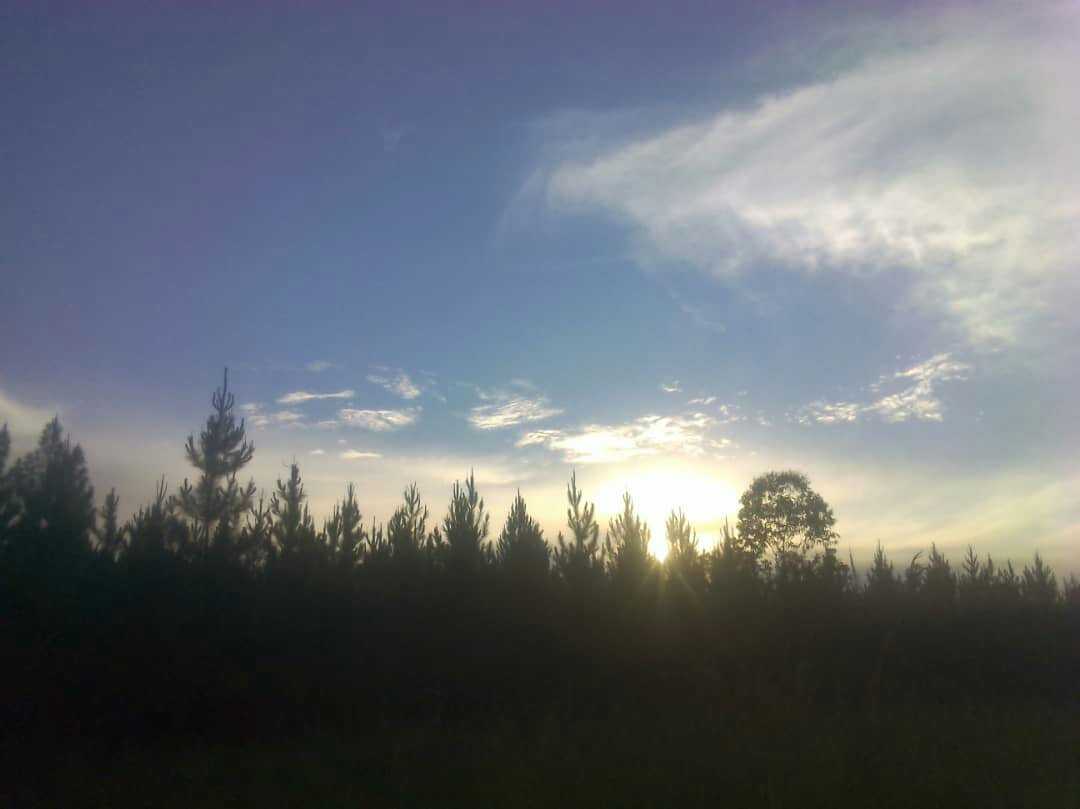 IMG-20190119-WA0010.jpeg