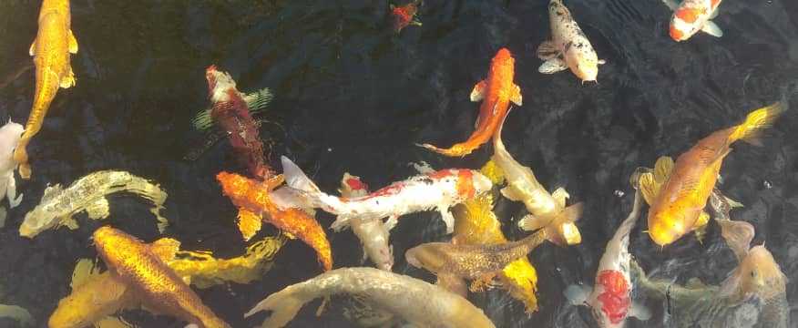 IMG-20191229-WA0007.jpg