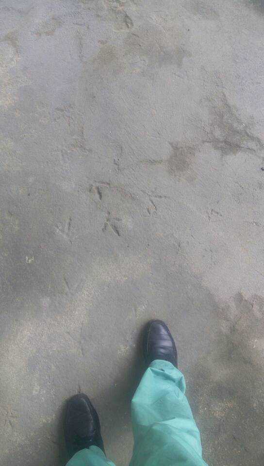 IMG-20200113-WA0039.jpeg