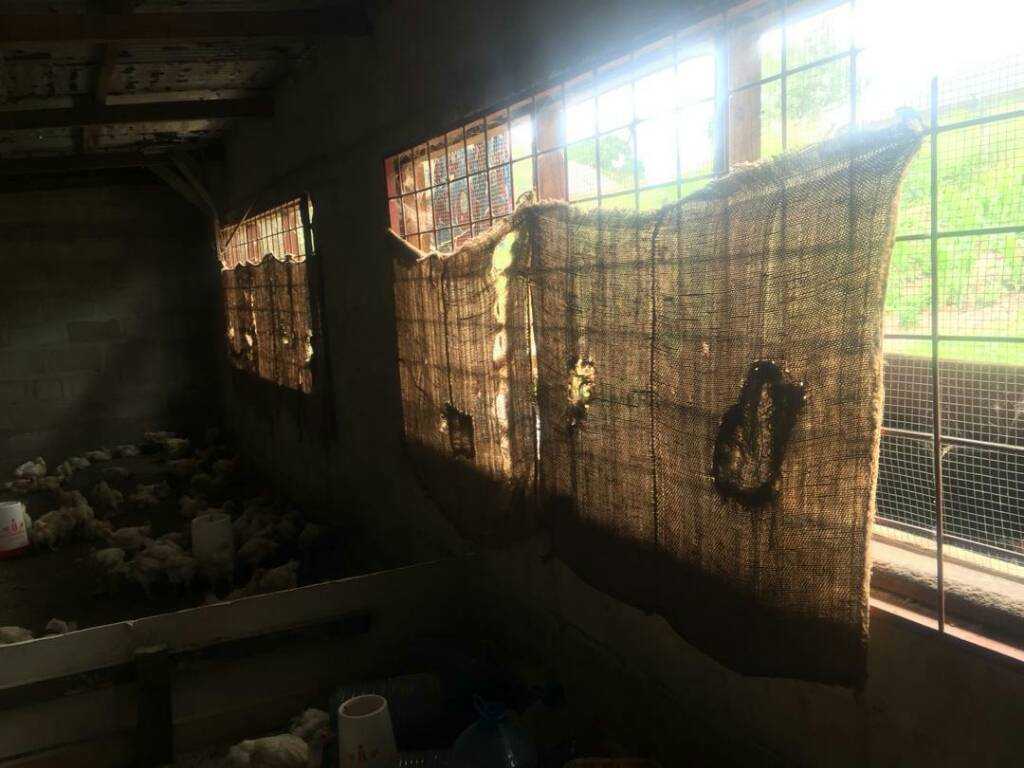 IMG-20200314-WA0006.jpeg