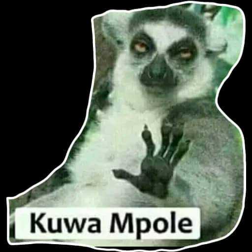 IMG-20200712-WA0067.jpg