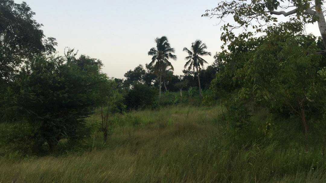 IMG-20210226-WA0014.jpeg