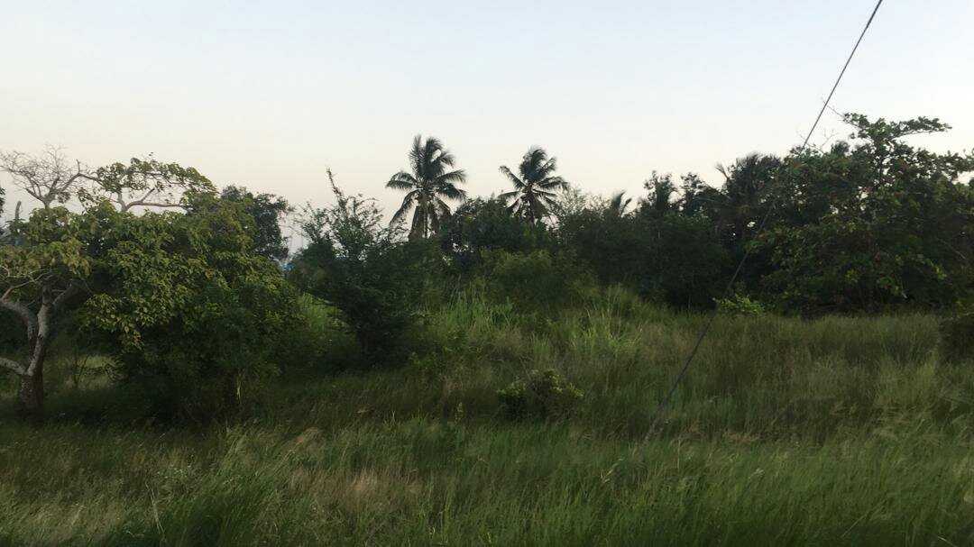 IMG-20210226-WA0017.jpeg
