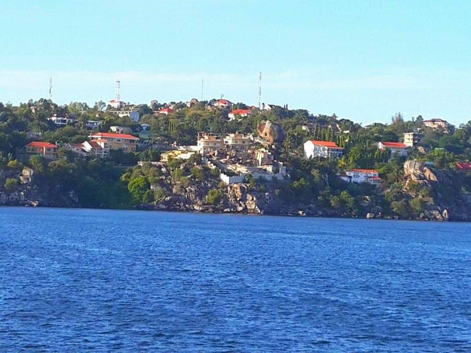 IMG-20221106-WA0016.jpg