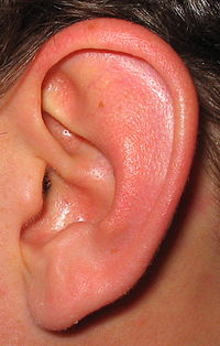 IMG-20250224-WA0005.jpg