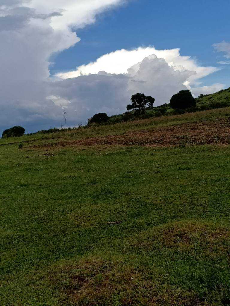 IMG20200406151441.jpeg