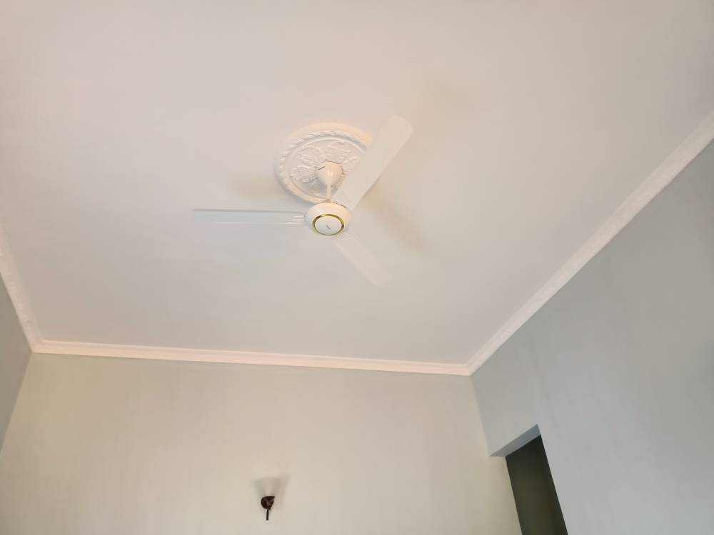 IMG20211114163210.jpg