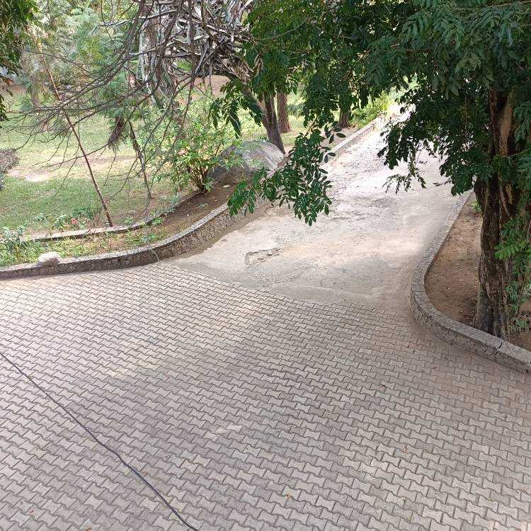 IMG20220803095924.jpg