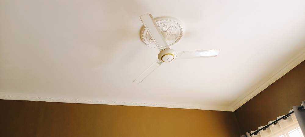 IMG20221013092056.jpg