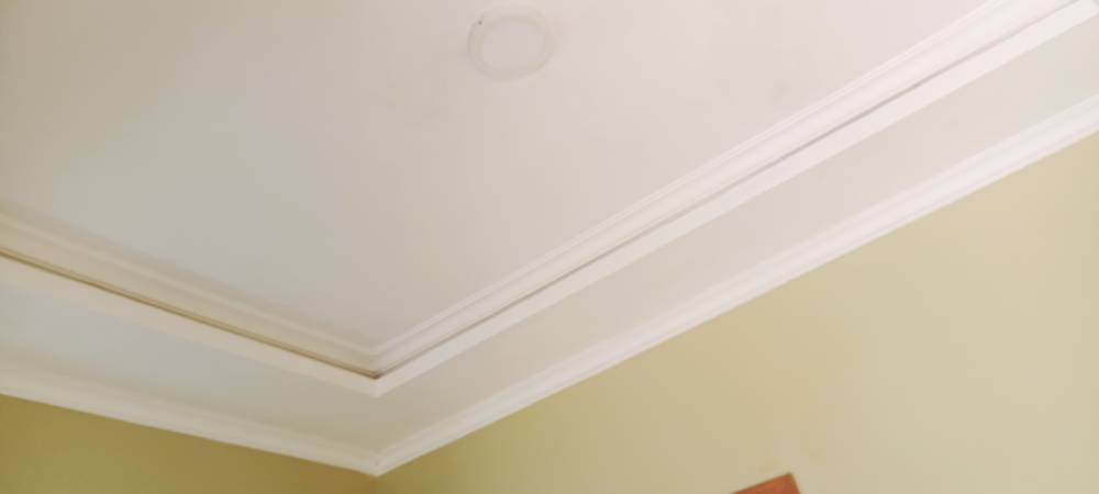 IMG20221101145309.jpg