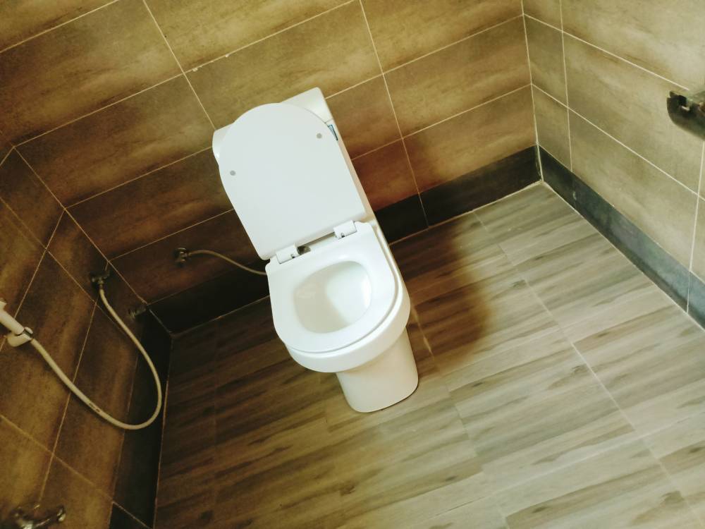 IMG20221222115111.jpg
