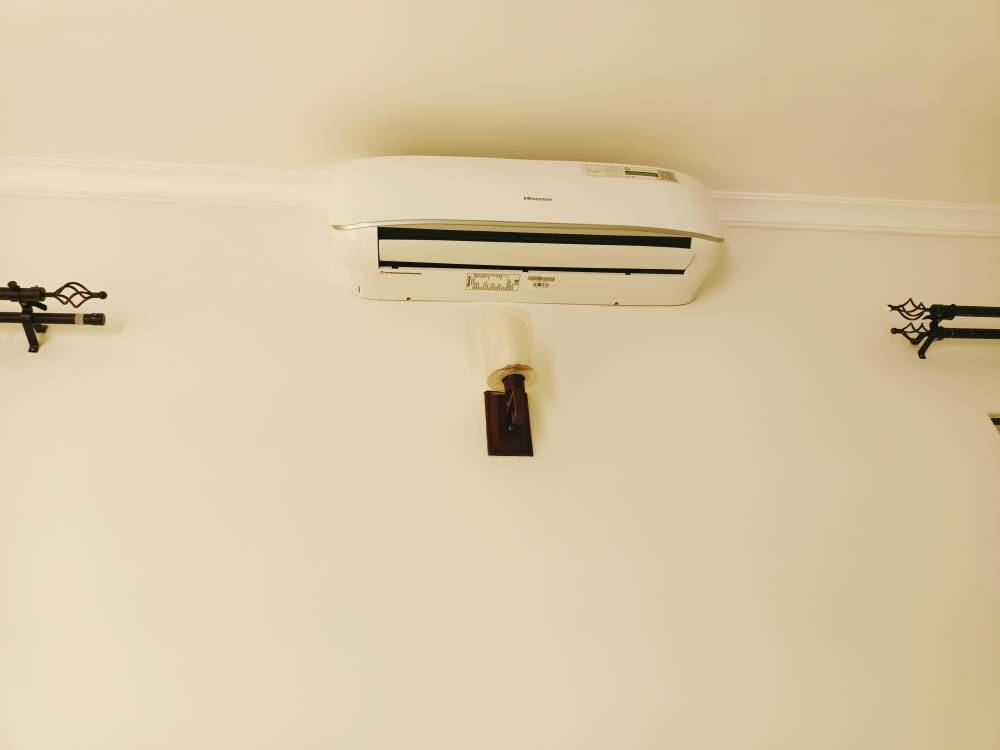 IMG20221222115255.jpg