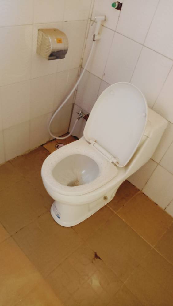 IMG20230114161525.jpg