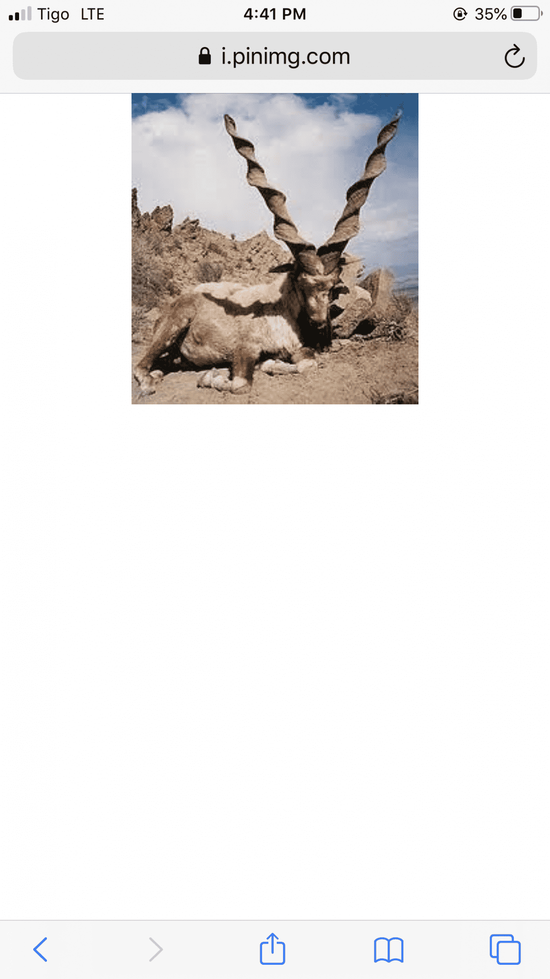 IMG_1864.png