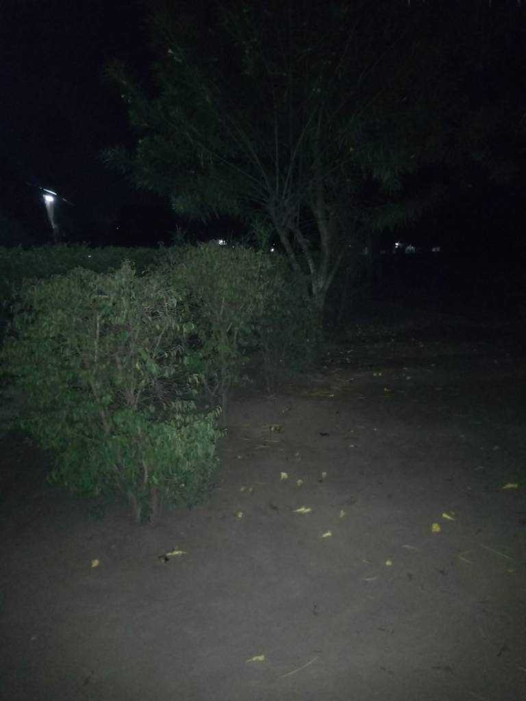 IMG_20181116_051732_1.jpeg