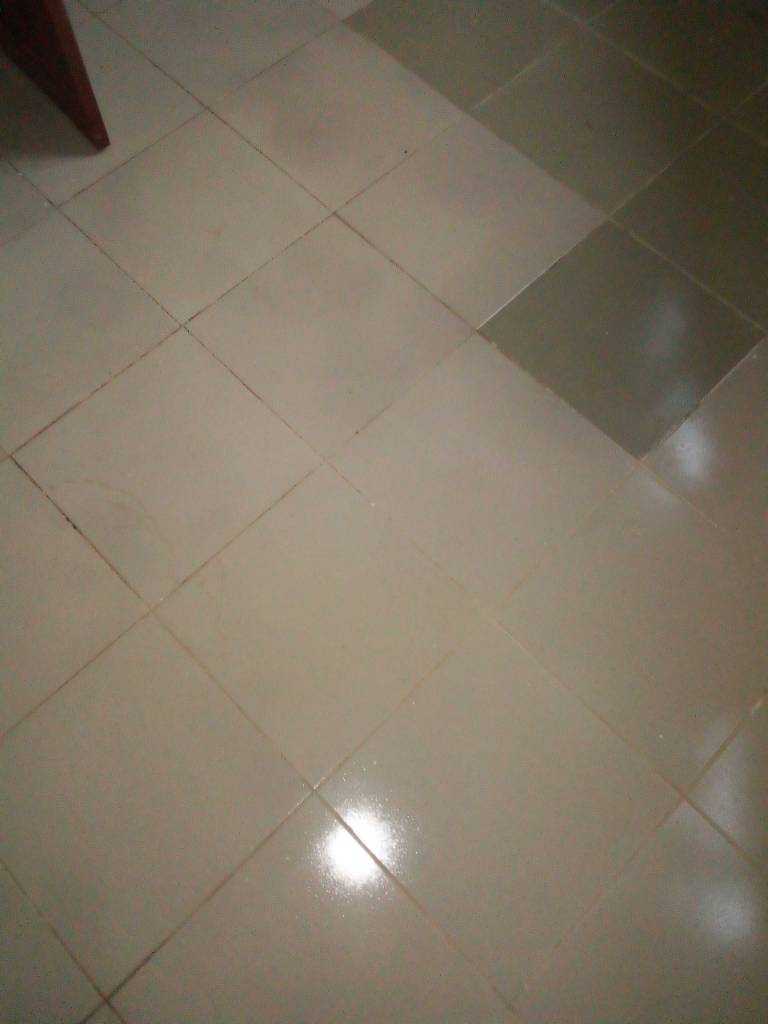 IMG_20191014_071252_9.jpeg