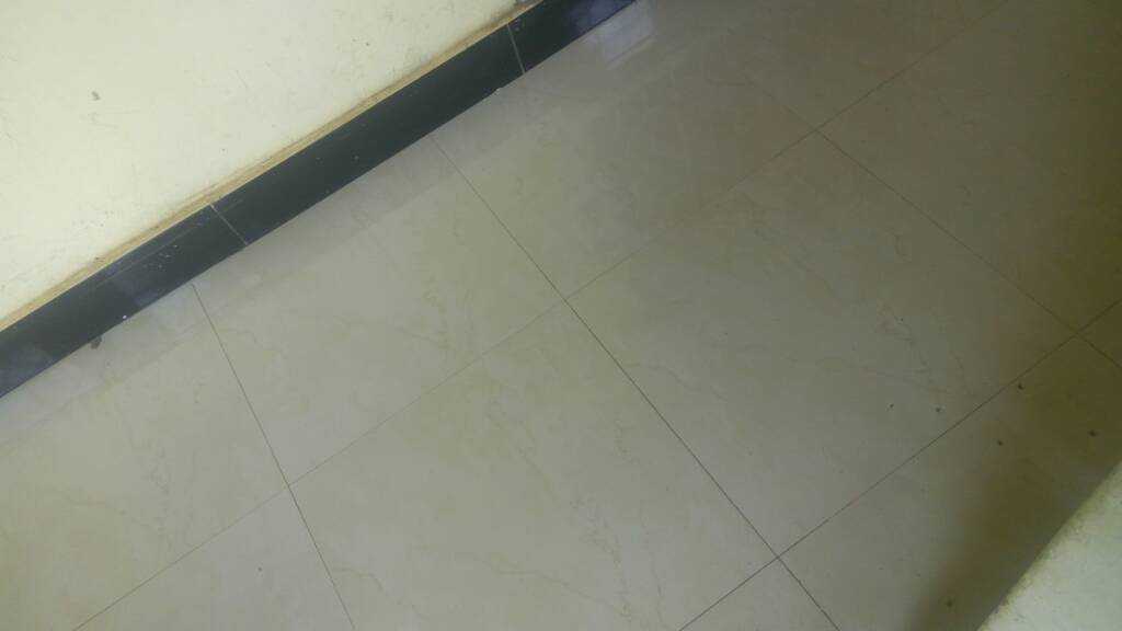 IMG_20191211_125637.jpeg