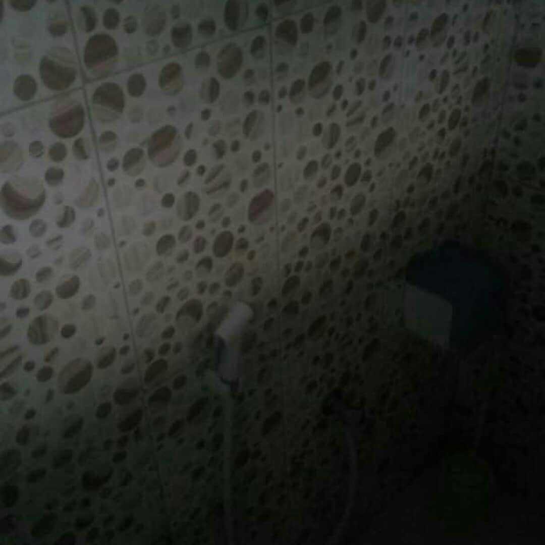 IMG_20191217_085608_810.jpeg