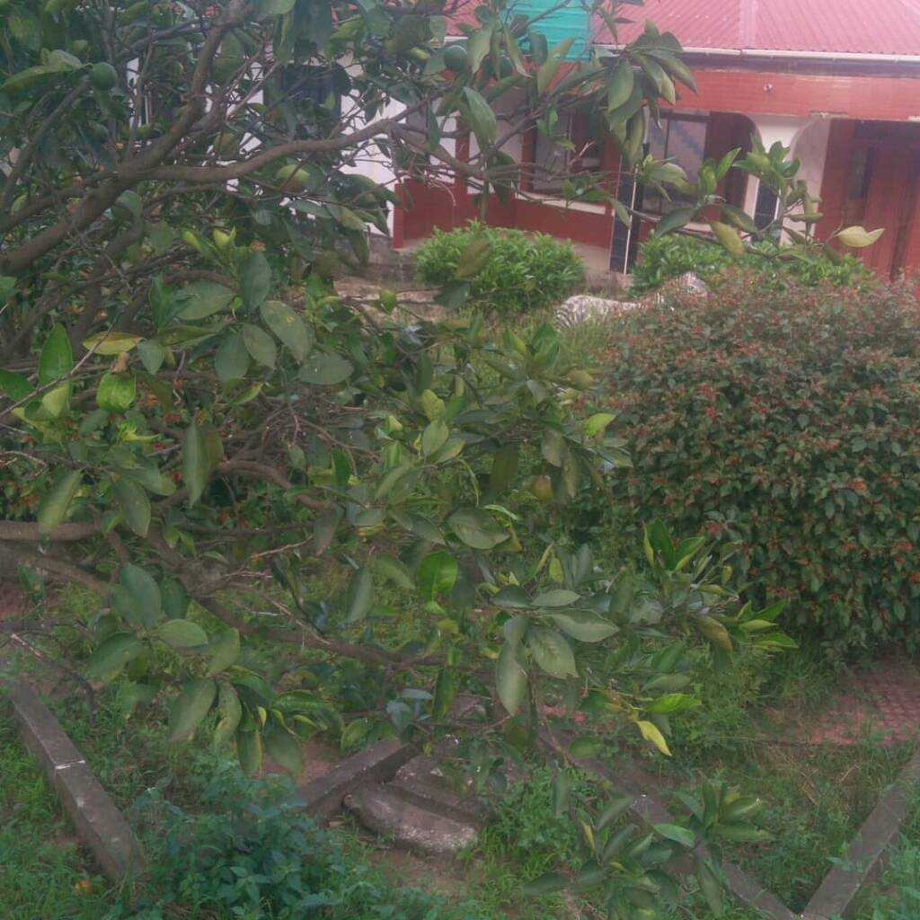 IMG_20200103_204538_372.jpeg