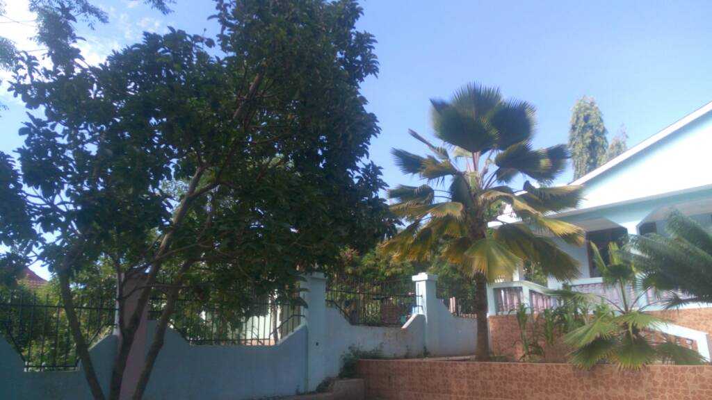 IMG_20200105_153419.jpeg