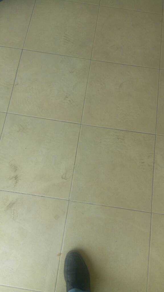 IMG_20200127_163820.jpeg