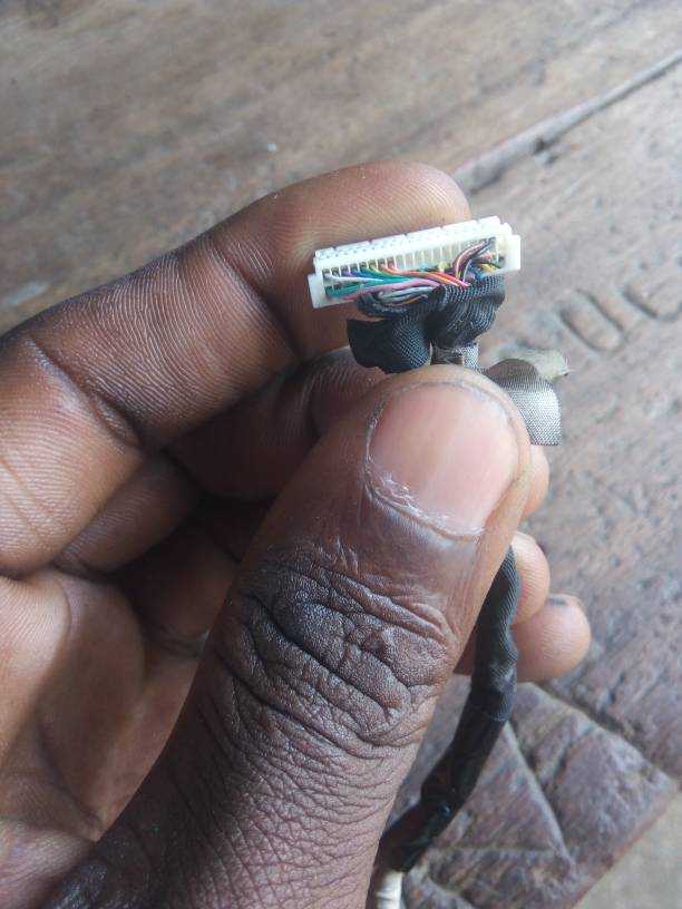 IMG_20200131_145533.jpeg