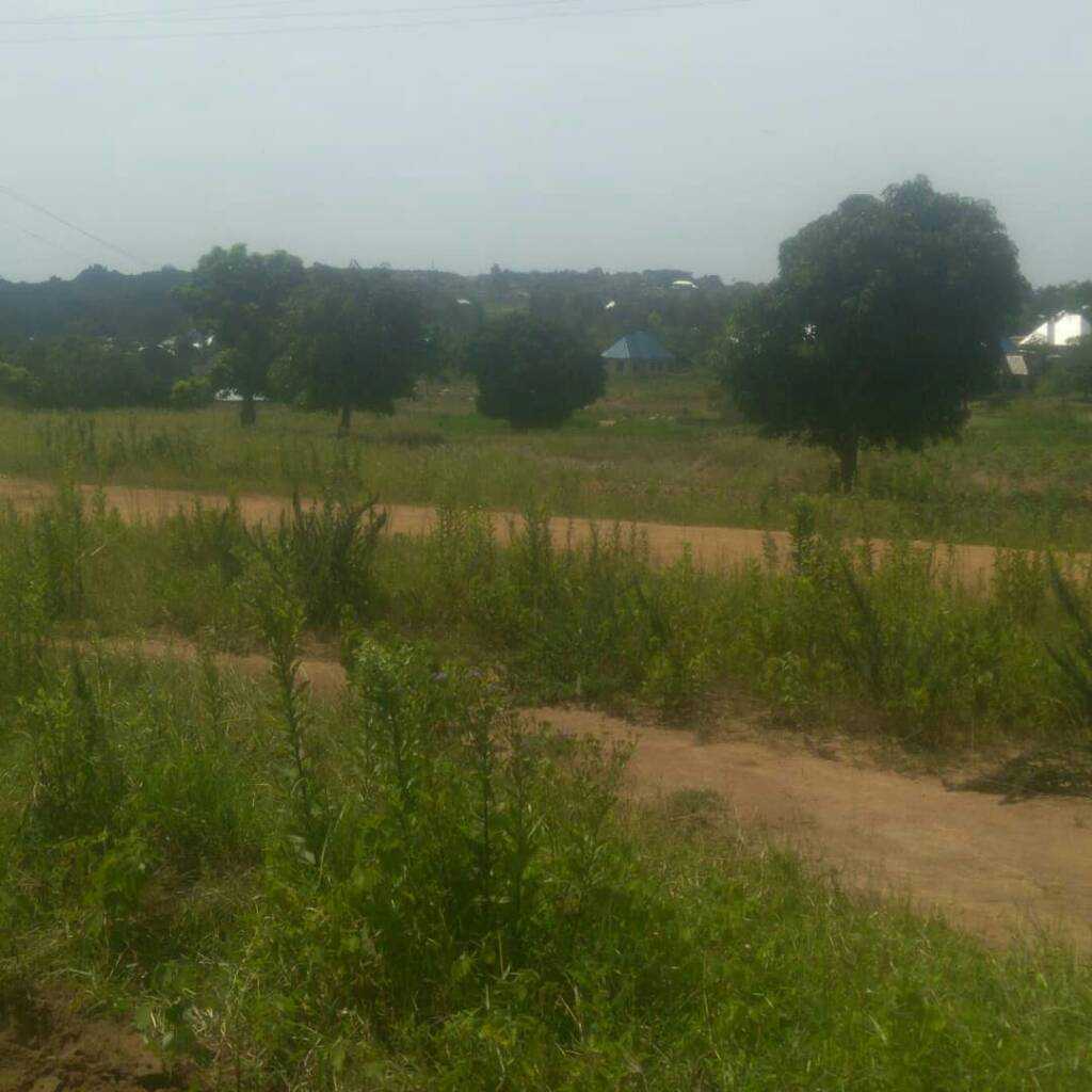 IMG_20200223_181625_904.jpeg