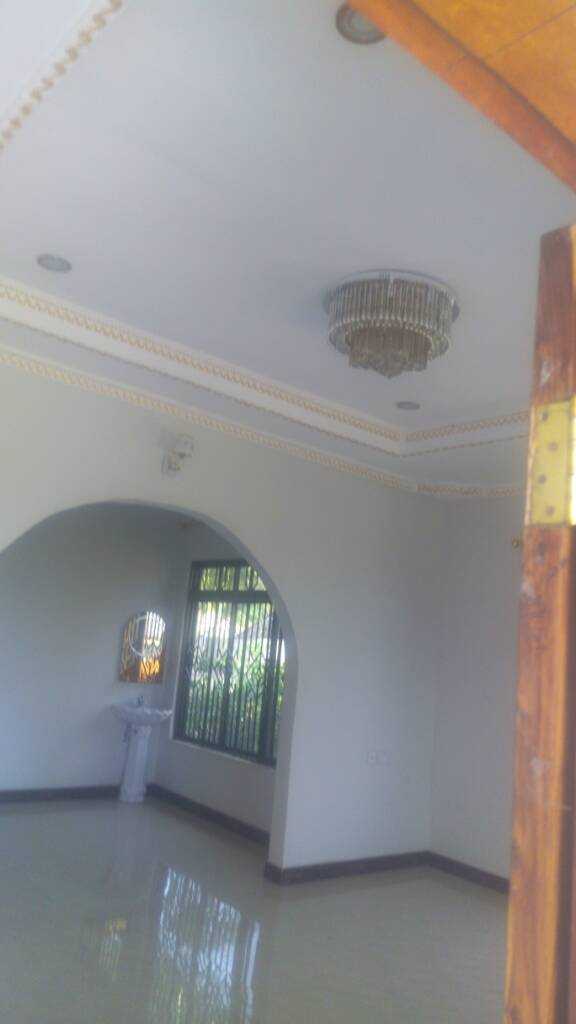 IMG_20200229_105504.jpeg