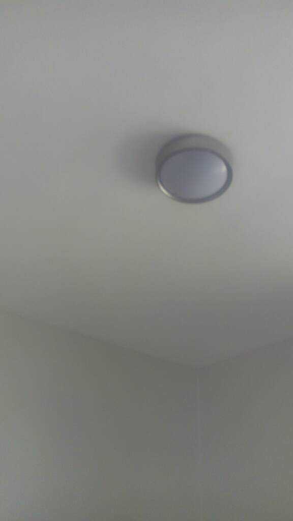 IMG_20200229_120954.jpeg